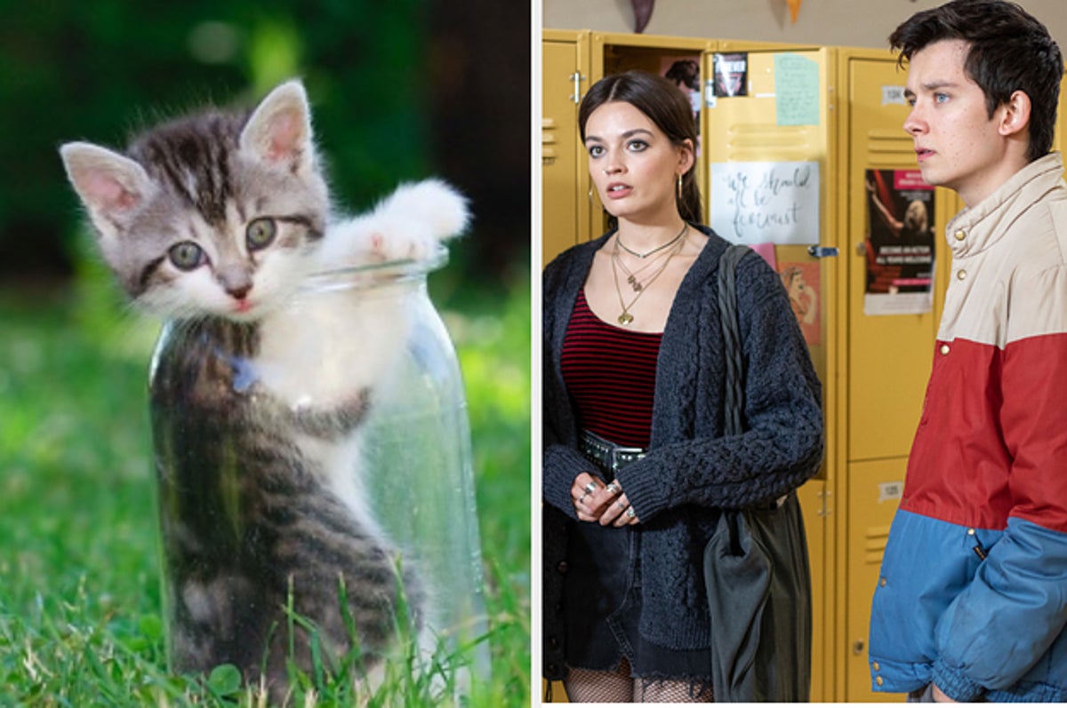 Quiz: Choose Some Baby Animals And We'll Give You A Netflix Recommendation