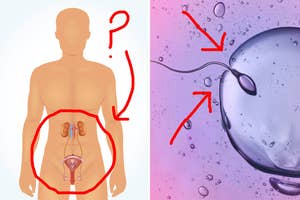 Xxx Berkovaning qiz dostlari Xxx Berkovaning qiz dostlari
