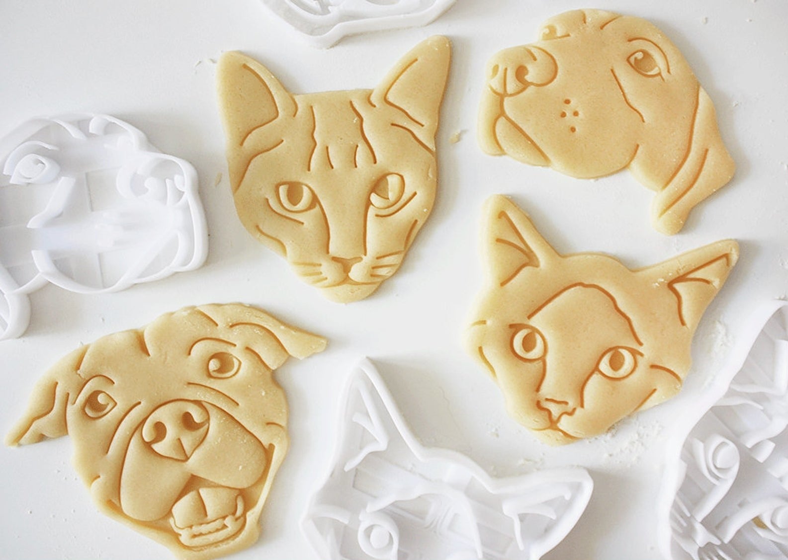 Some pet-shaped cookies next to their cookie cutters