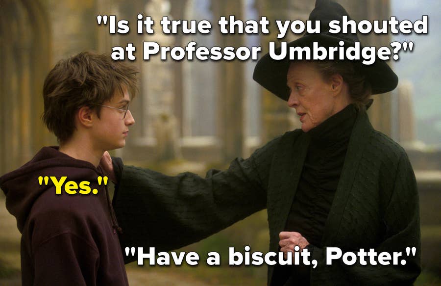 20 Funny Harry Potter Book Moments