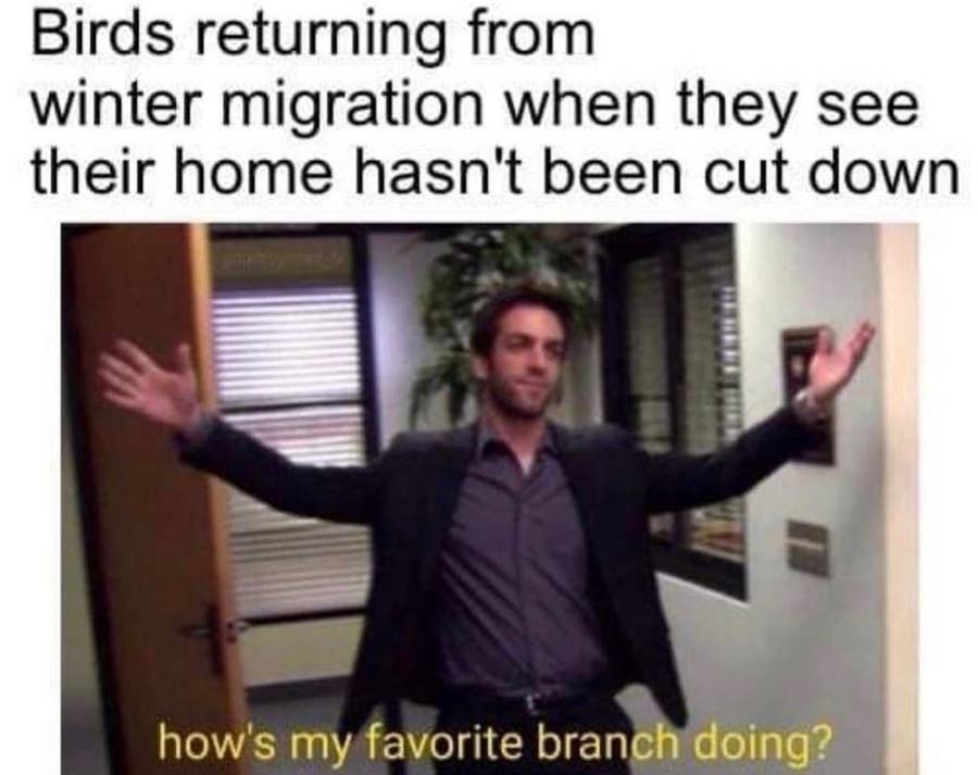 100 The Office Memes In One Big List 100 the office memes in one big list