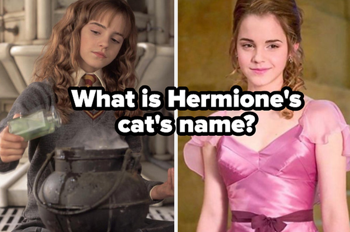 How Hermione Granger Are You?