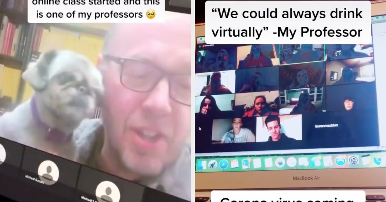13 TikToks That Prove College Professors Who Are Teaching Classes ...