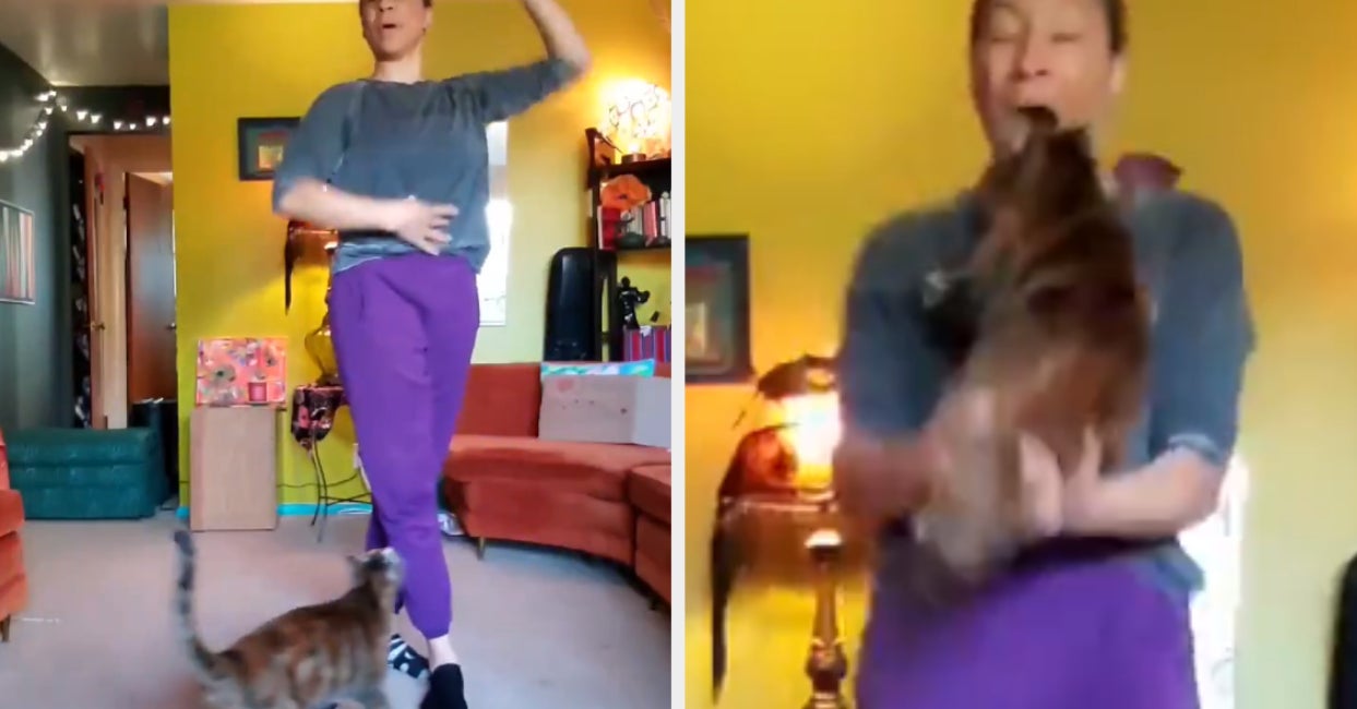 This Ballet Teacher Was Interrupted By Her Cat During An Online Class And It's Exactly What We Need Right Now