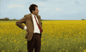 GIF of Mr Bean looking at his watch