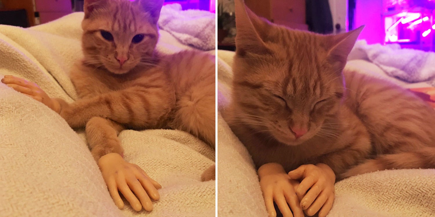 14 Really, Really Good Things That Happened This Week
