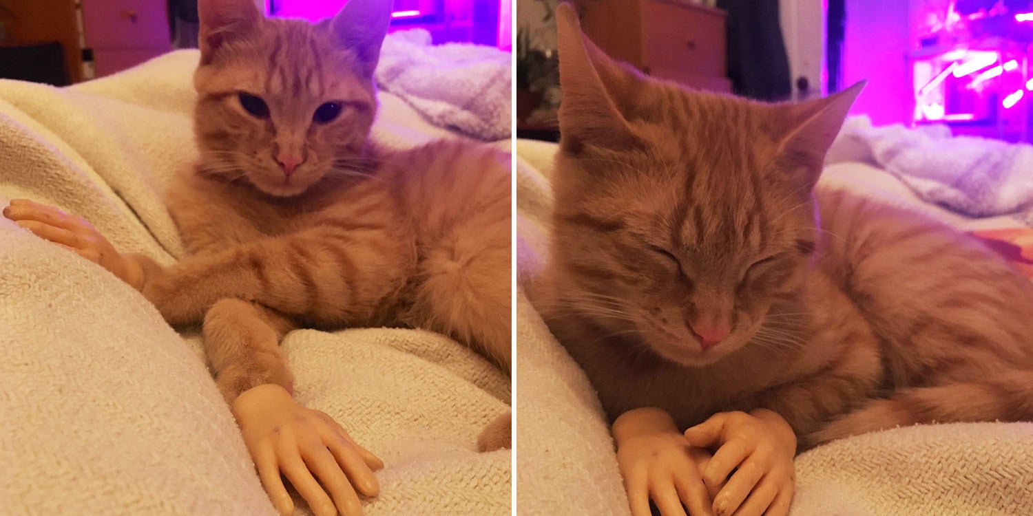 14 Really, Really Good Things That Happened This Week