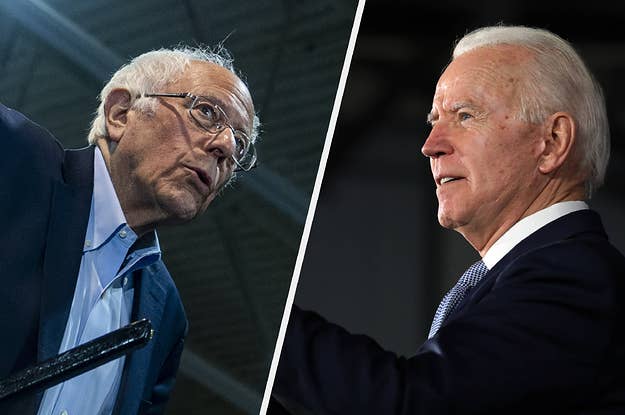17 Celebs Voting For Joe Biden And 17 Celebs Voting For Bernie Sanders That Show How Extremely Different Their Supporters Are