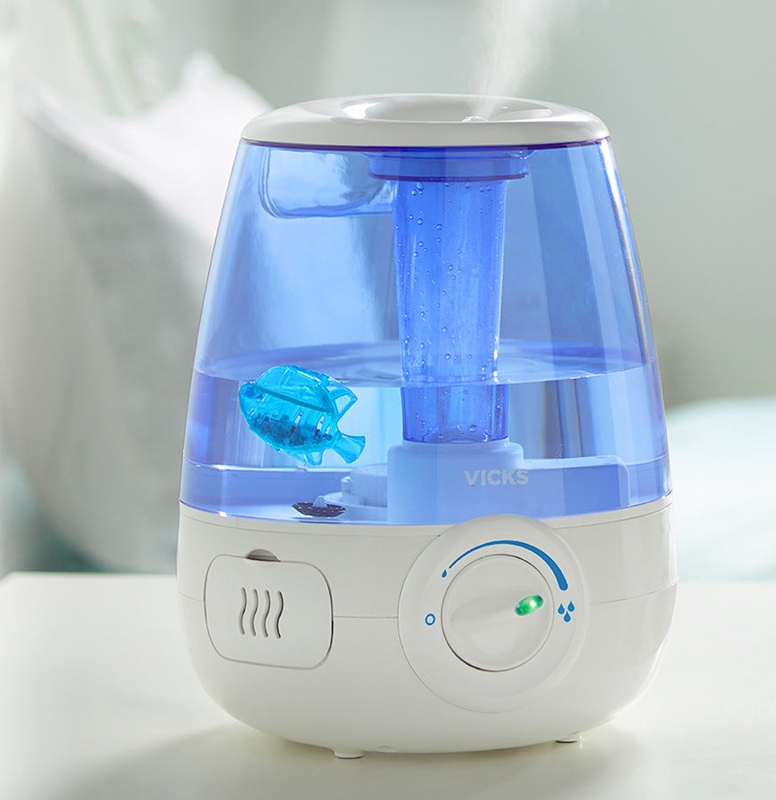 The fish inside the tank of a humidifier