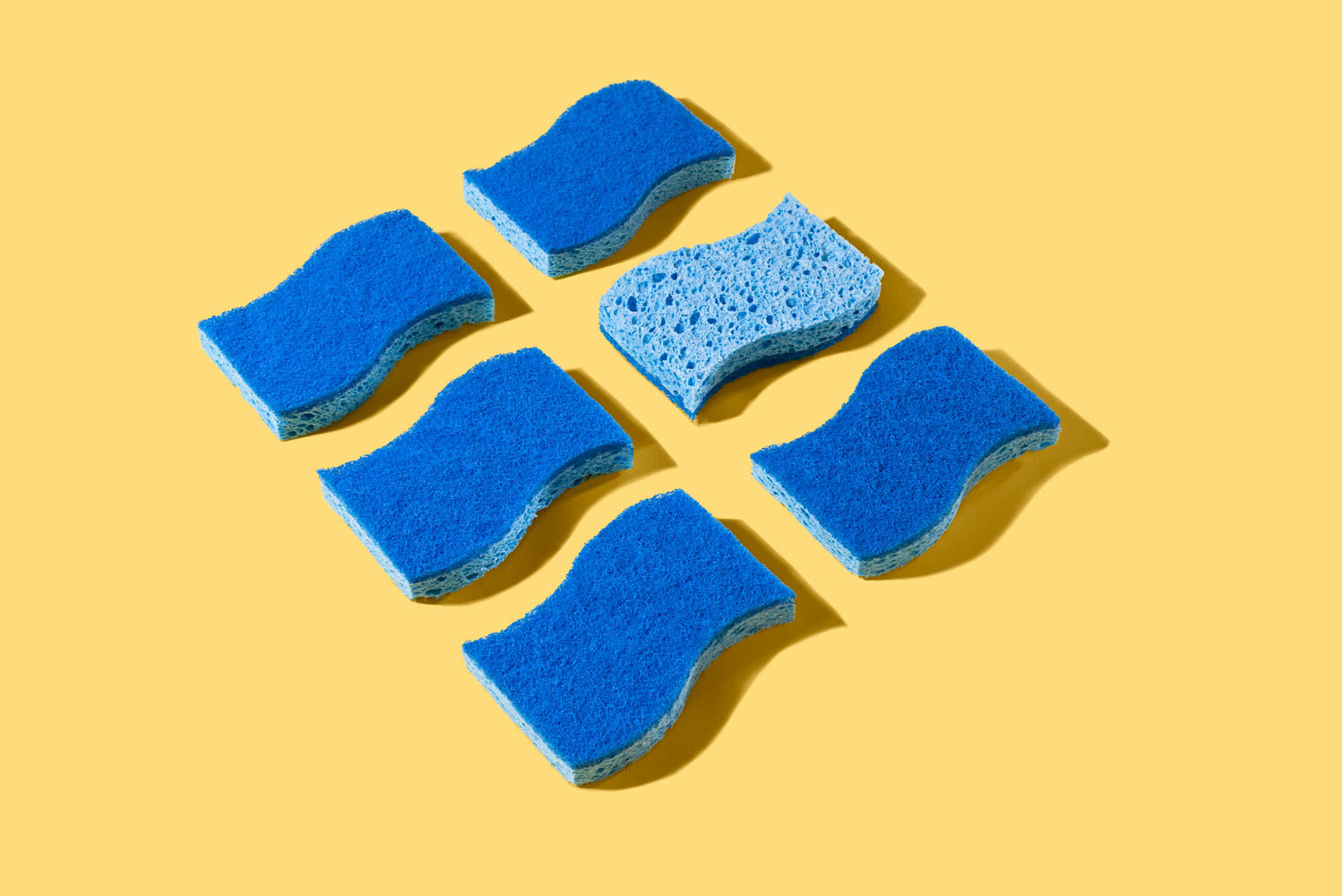 the blue sponges
