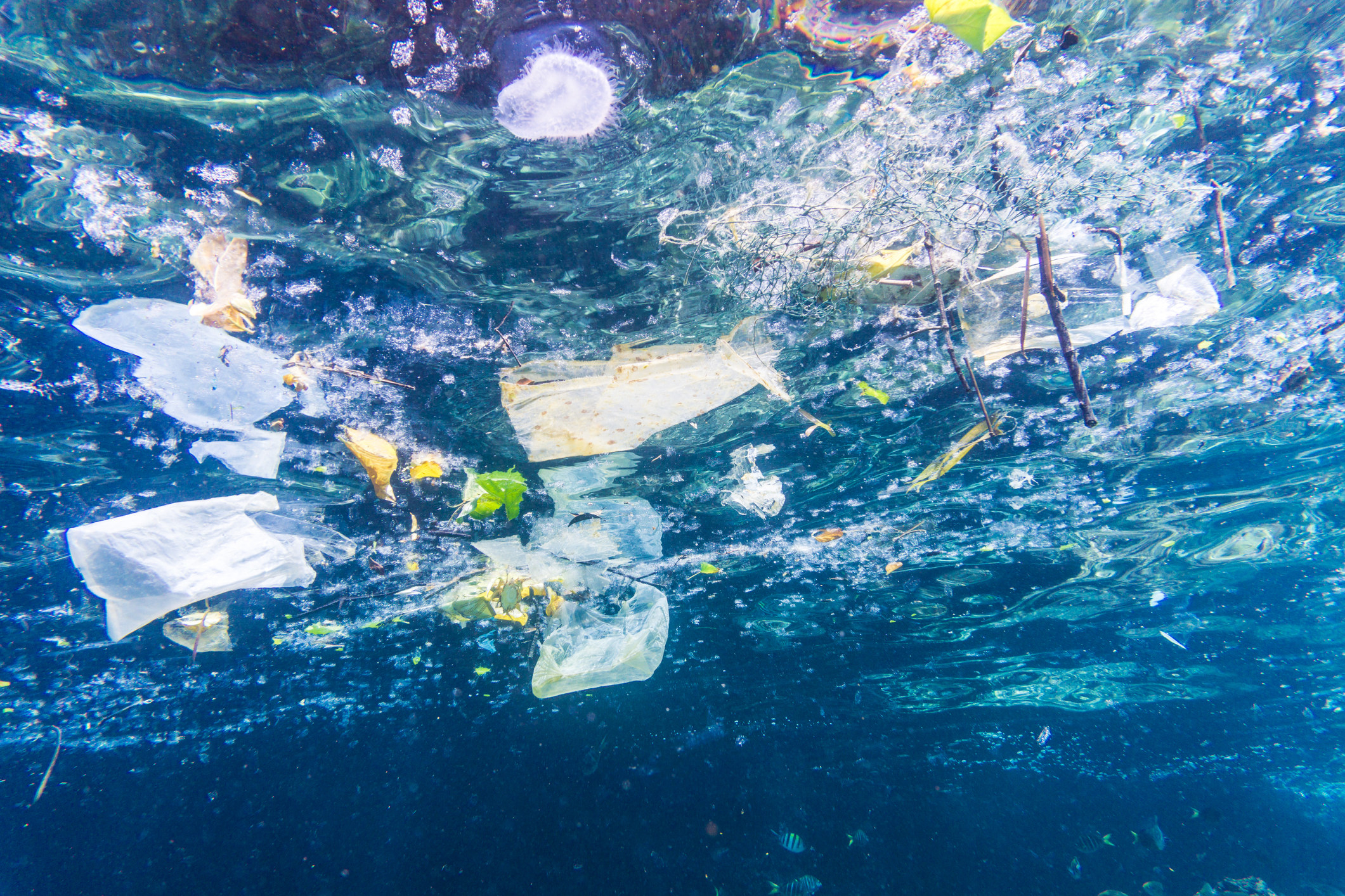 Чудо в океане отзывы. Загрязнение мирового океана. Пластик в океане. Пластик в мировом океане. Полиэтиленовый пакет в воде.