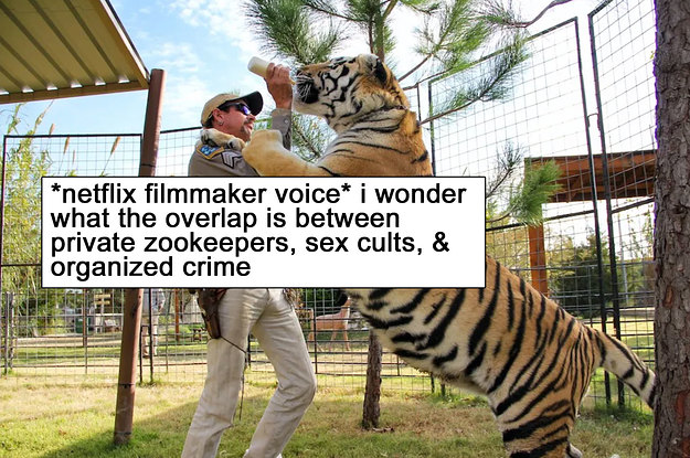 17 Wildly Funny "Tiger King" Tumblr Posts
