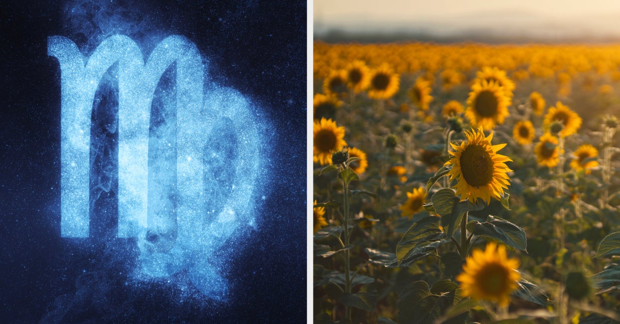 Quiz: Choose Some Aesthetic Pictures And We'll Guess Your Zodiac Sign