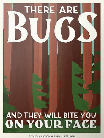 poster that says there are bugs and they will bite you on your face