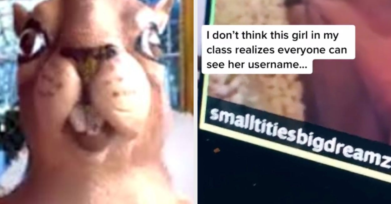 19 Students And Professors Who Were 100% Hilarious During Online Classes