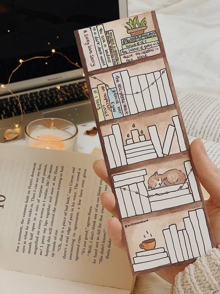 The book tracker, which looks like a blank book shelf and you can fill in the names of the books on the spine as you finish them