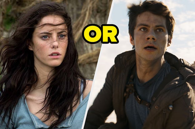 Which 