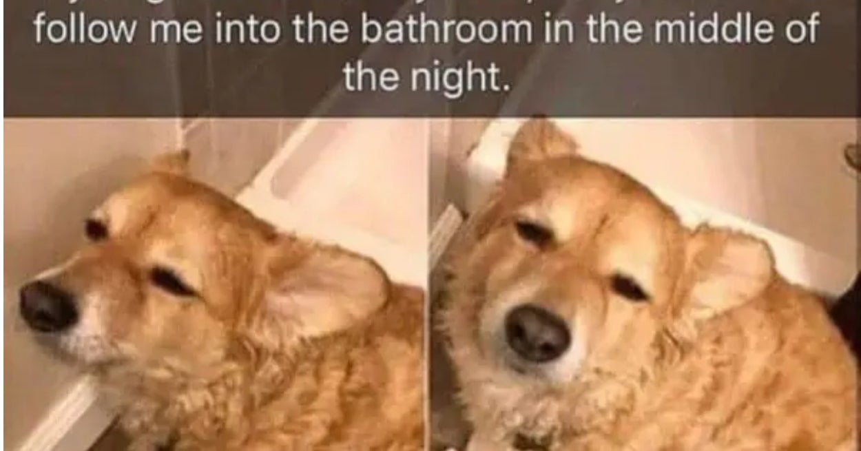 26 Pictures That Prove The World Isn't A Steaming Pile Of Garbage