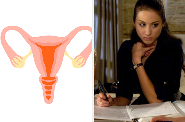 Only 34% Of People Passed This 8th Grade Female Anatomy Test — Can You?