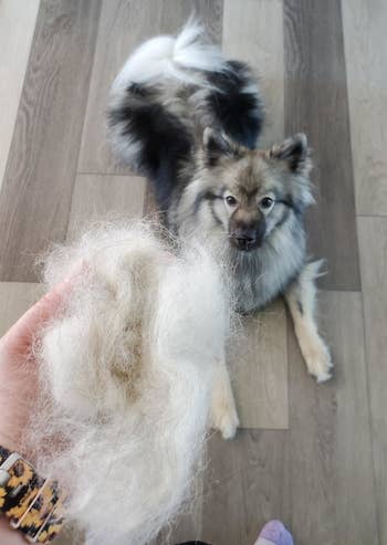 Reviewer photo of their dog and a large pile of fur they brushed out 