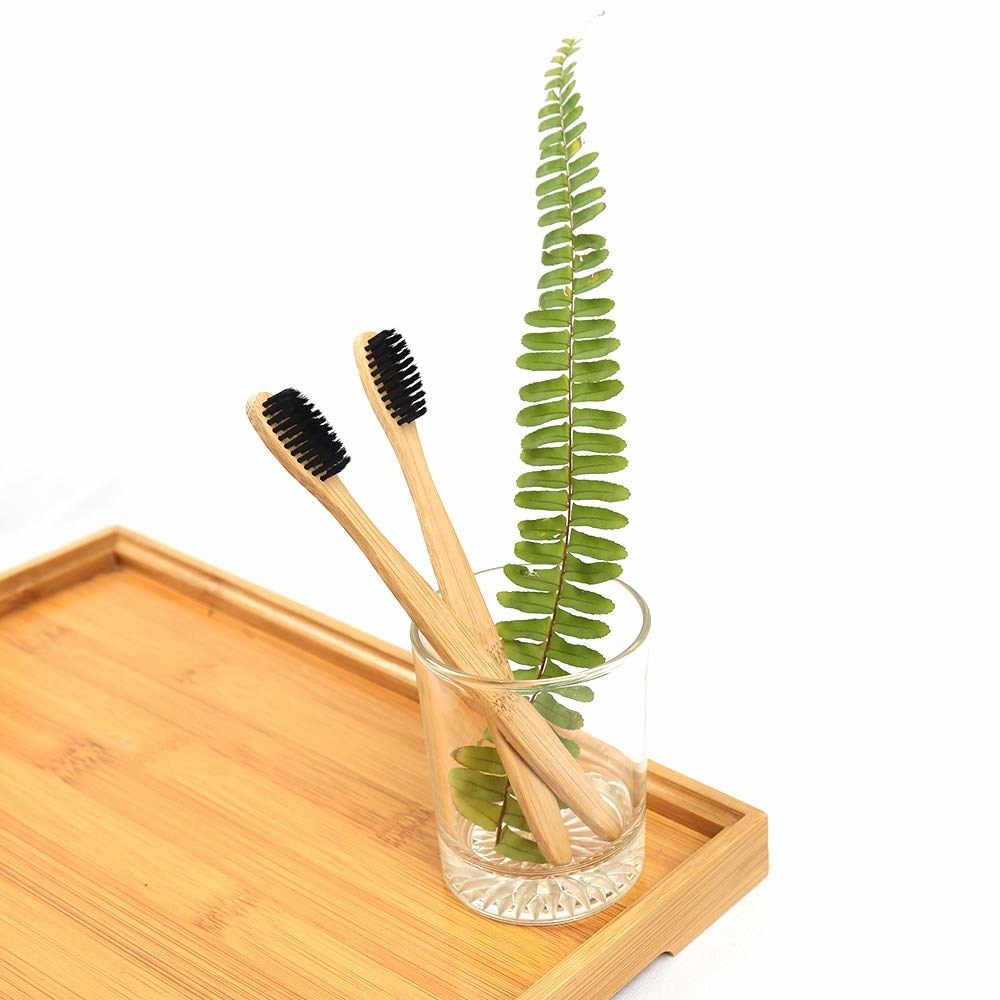 Two bamboo toothbrushes in a glass next to a leaf