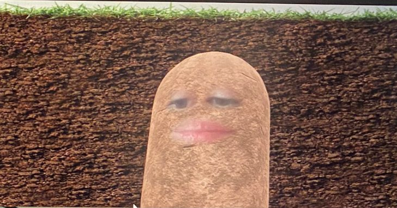 This Woman Accidentally Turned Herself Into A Potato For A Video Meeting And Couldn T Figure Out How To Fix It