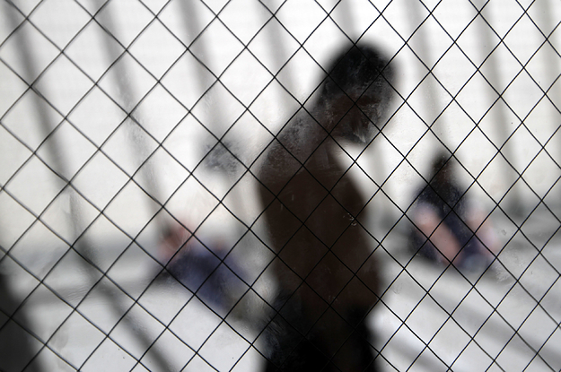 Fear Among Immigrant Detainees Spreads As Coronavirus Outbreaks Hit ICE ...