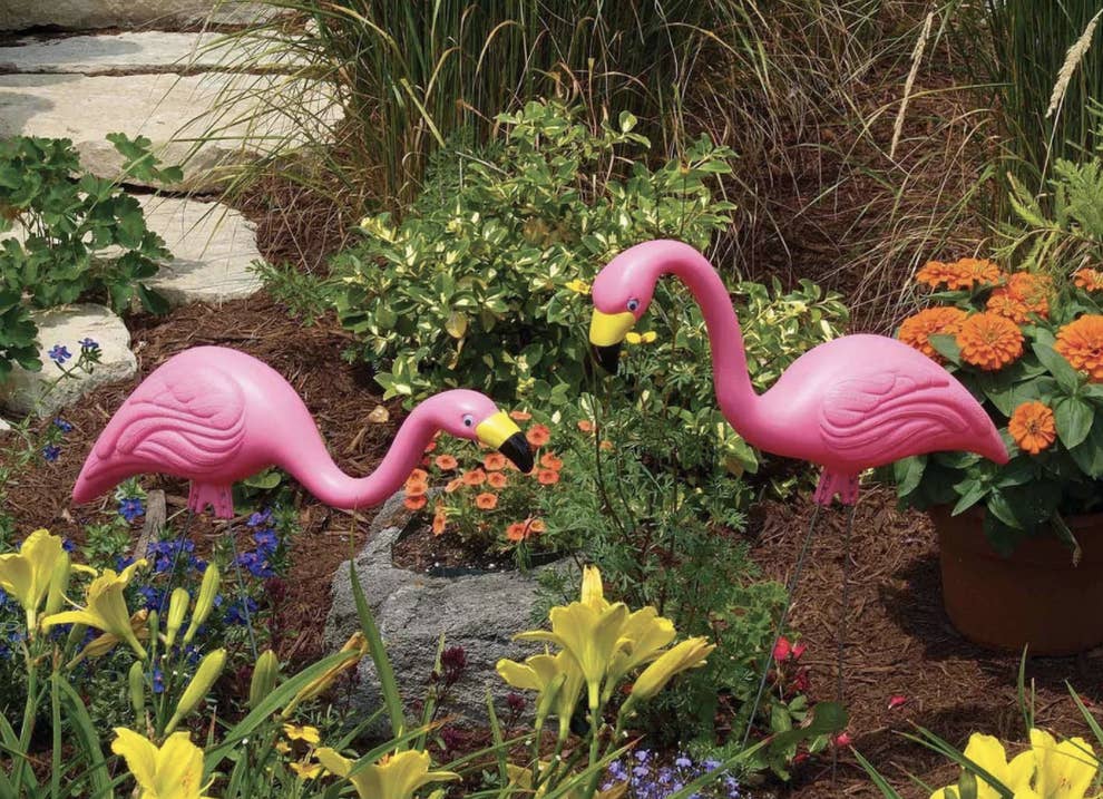 36 Things For Your Backyard You Ll Probably Wish You D Bought