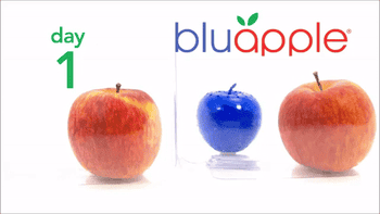 a gif comparing an apple that's been kept in the Bluapple container vs not, showing how it stays fresh for way longer