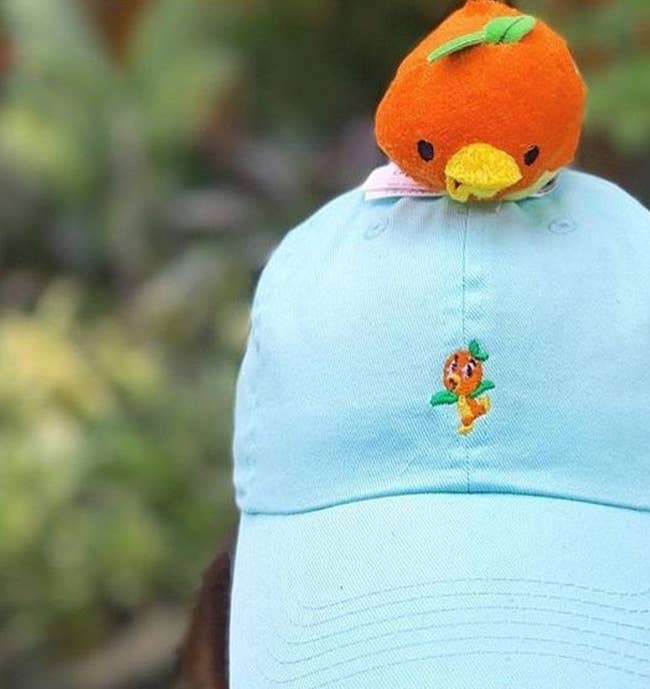 a light blue hat with an orange bird embroidered on it