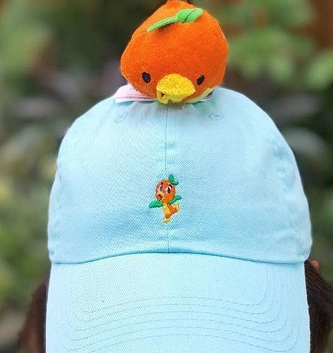 a light blue hat with an orange bird embroidered on it