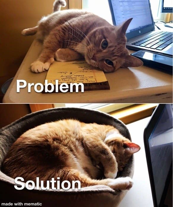 16 Of The Weirdest Things People Have Learned About Their Pets
