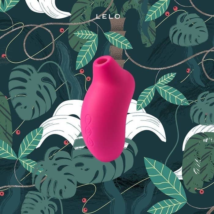 A photograph of the Sona 2 Cruise air pulsator.