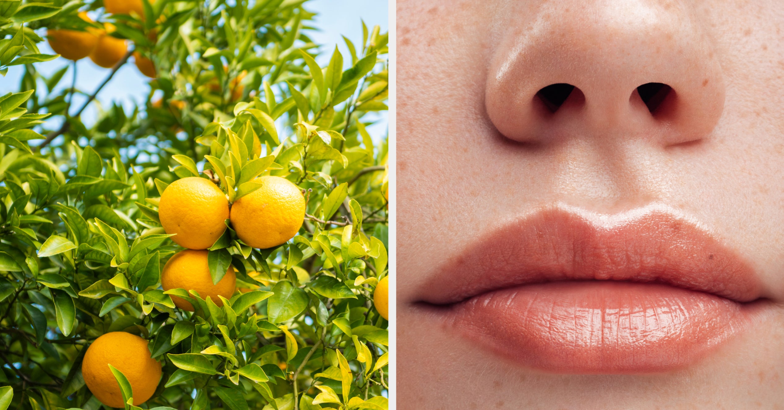 Quiz Which Unique Combination Of Scents Matches Your Personality?