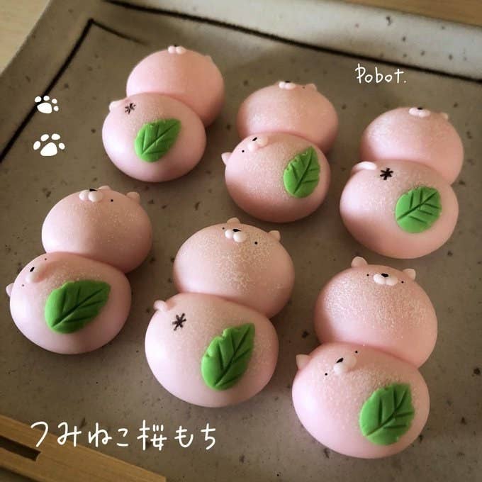 ぜんぶ手作り 柴犬 和スイーツがかわいすぎて永遠に見ていたい