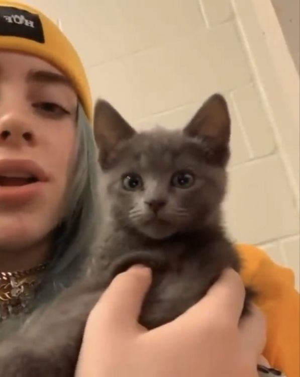 Billie Eilish Adopted A Pit Bull She Was Fostering In Quarantine And