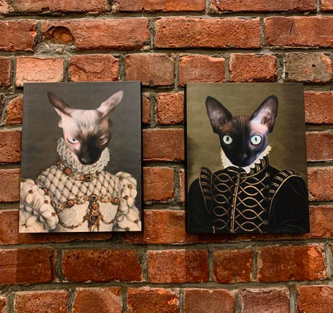 Two hairless cats wearing Renaissance clothes