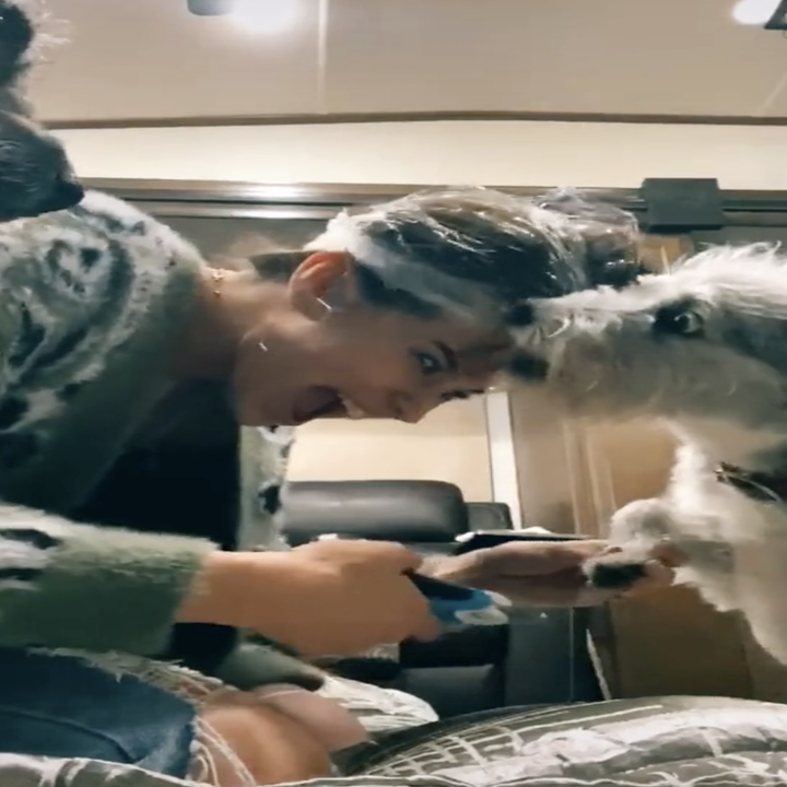 This TikTok Of A Woman's Hack For Getting Your Dogs To Let You Clip