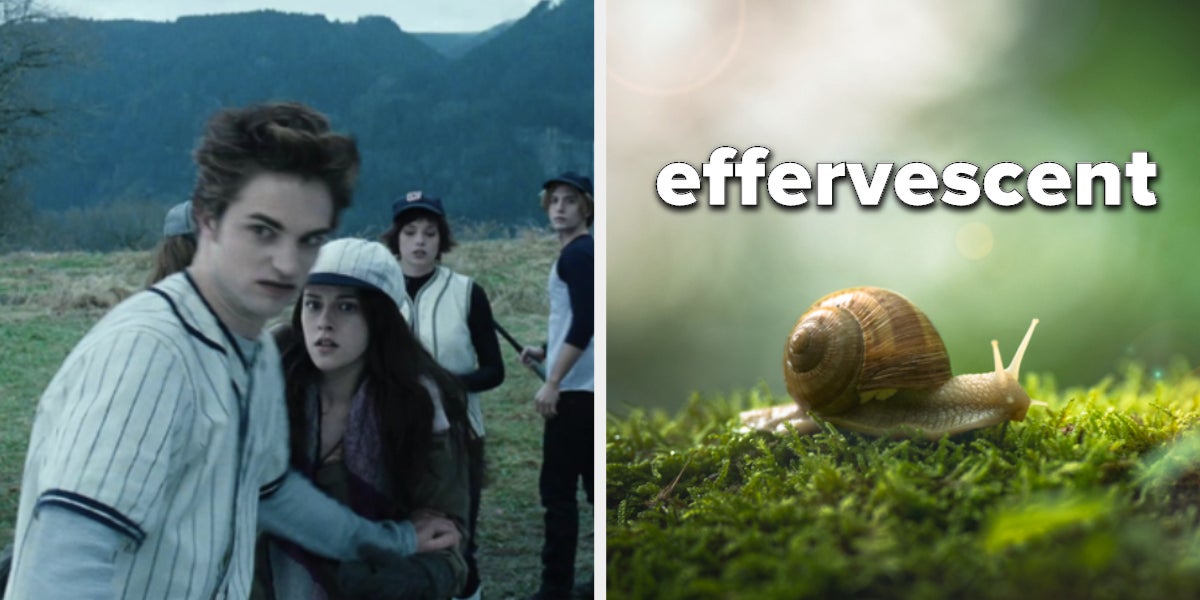 50 Best Twilight Memes