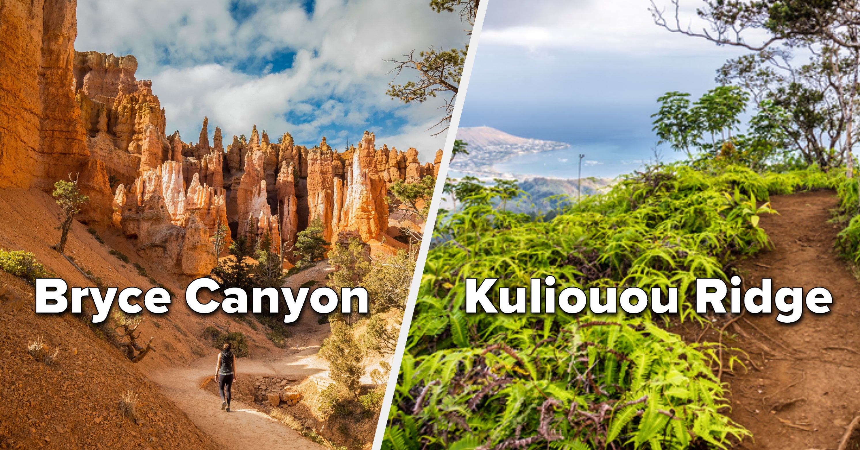 16 Breathtaking Virtual Hikes Around The US That You Can Take From Your Couch