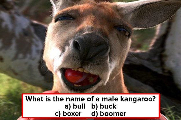 The Absolute Ultimate Australian Trivia Quiz To Combat Your Self-Iso Boredom