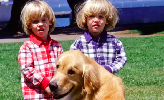 The twins and a golden retriever