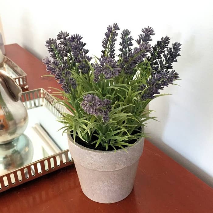 28 Cool Things to Buy That You Never Knew You Needed - Love & Lavender