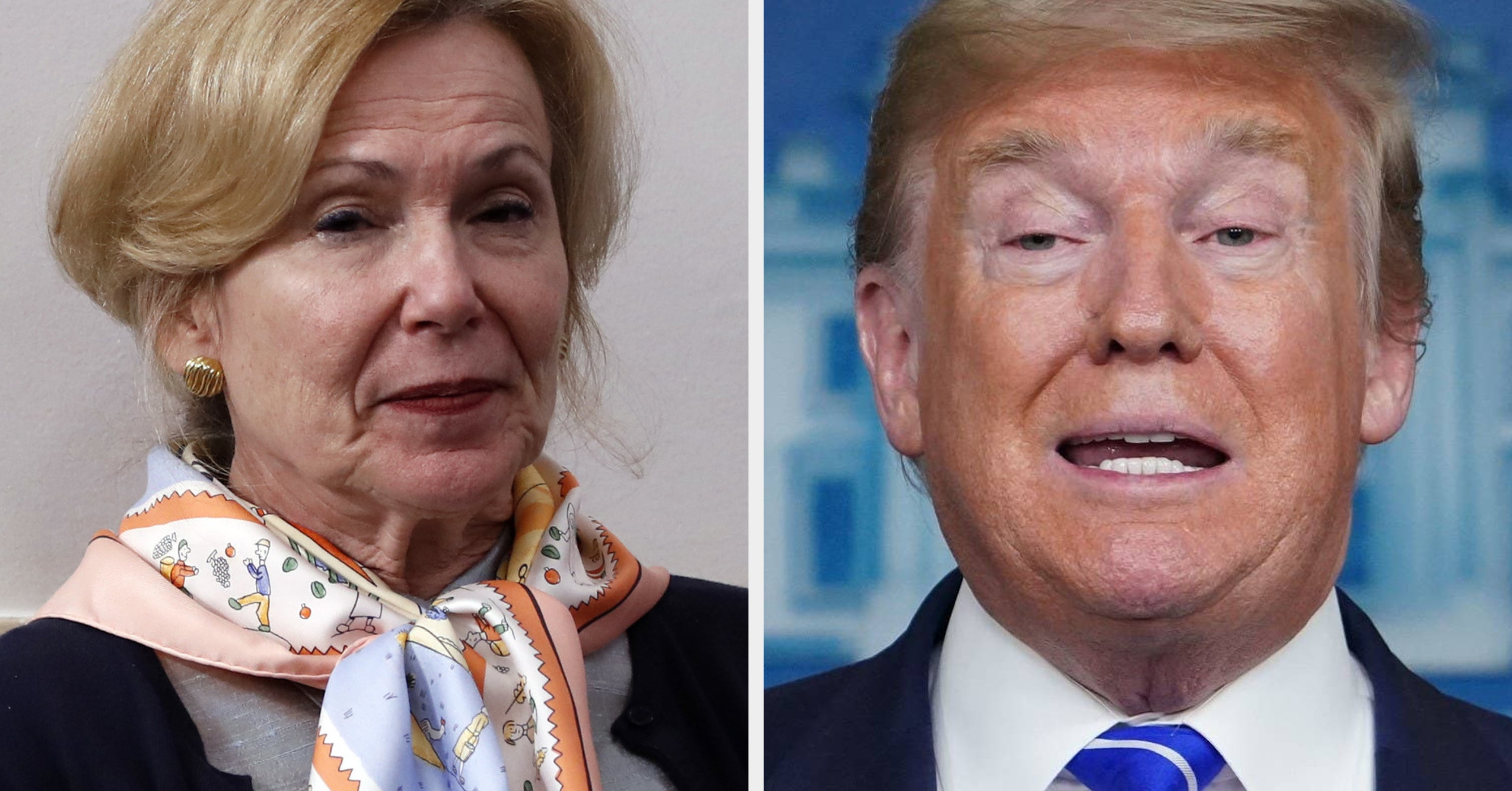 Coronavirus: Deborah Birx Has Viral Reaction To Trump Disinfectant Comments