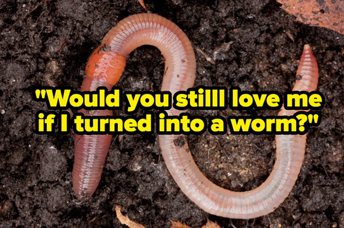 21 Cute Funny And Savage Tweets About The If I Were A Worm Challenge On Tiktok