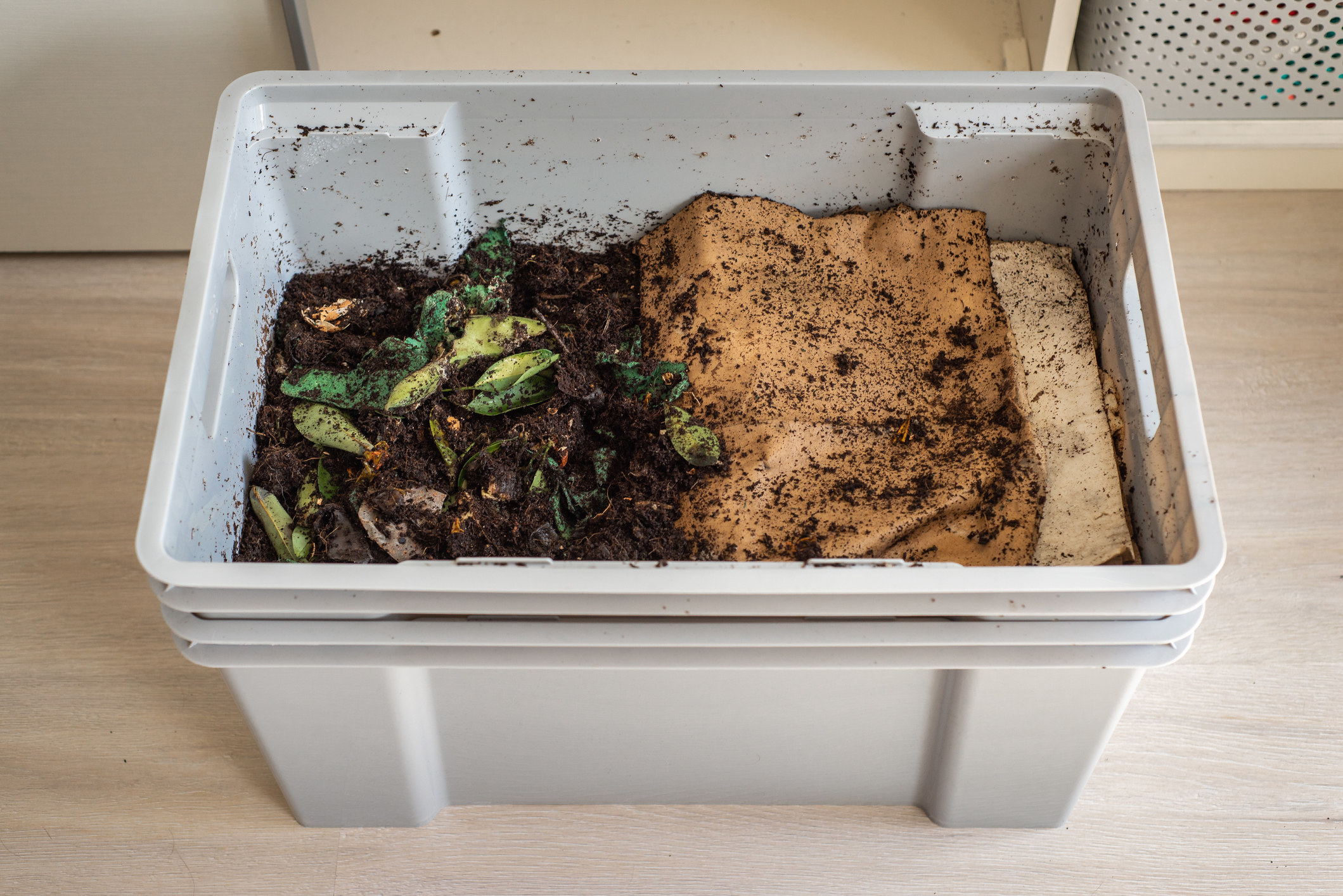 What You Need To Know To Start Composting, Meg Unprocessed