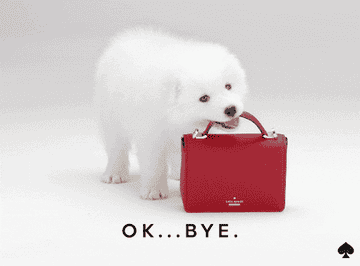 A gif of an adorable puppy grabbing a Kate Spade purse with their mouth and carrying it away. 