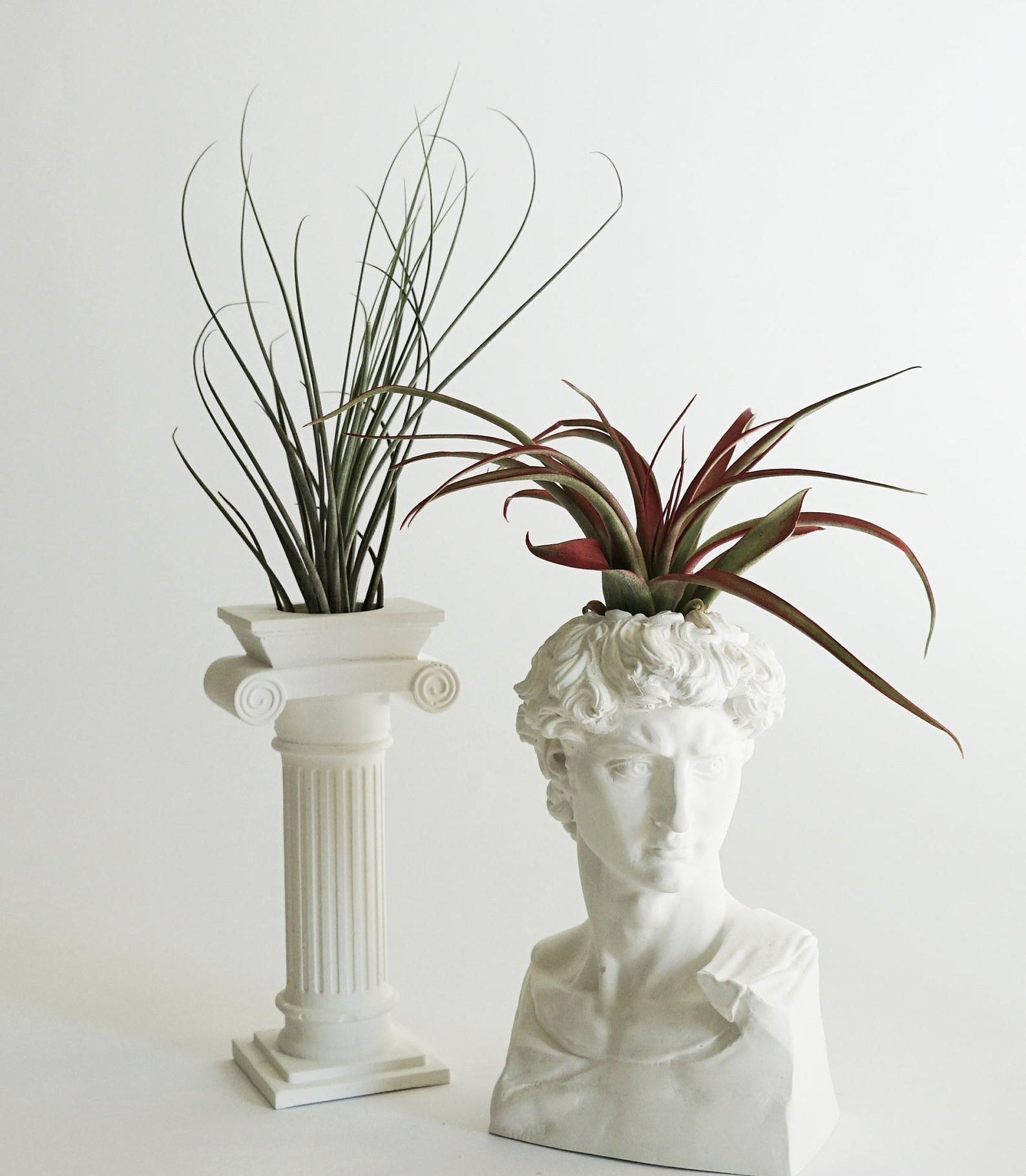 A planter shaped like a old Roman column with an air plant sprouting from it and an air plant inside of a buttress shaped like the head of the historical Michaelangelo sculpture, &quot;David&quot;