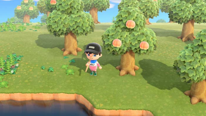 Animal Crossing New Horizons Tips – The Legend