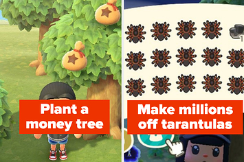 How to Use Game Cheats in Animal Crossing: 12 Steps